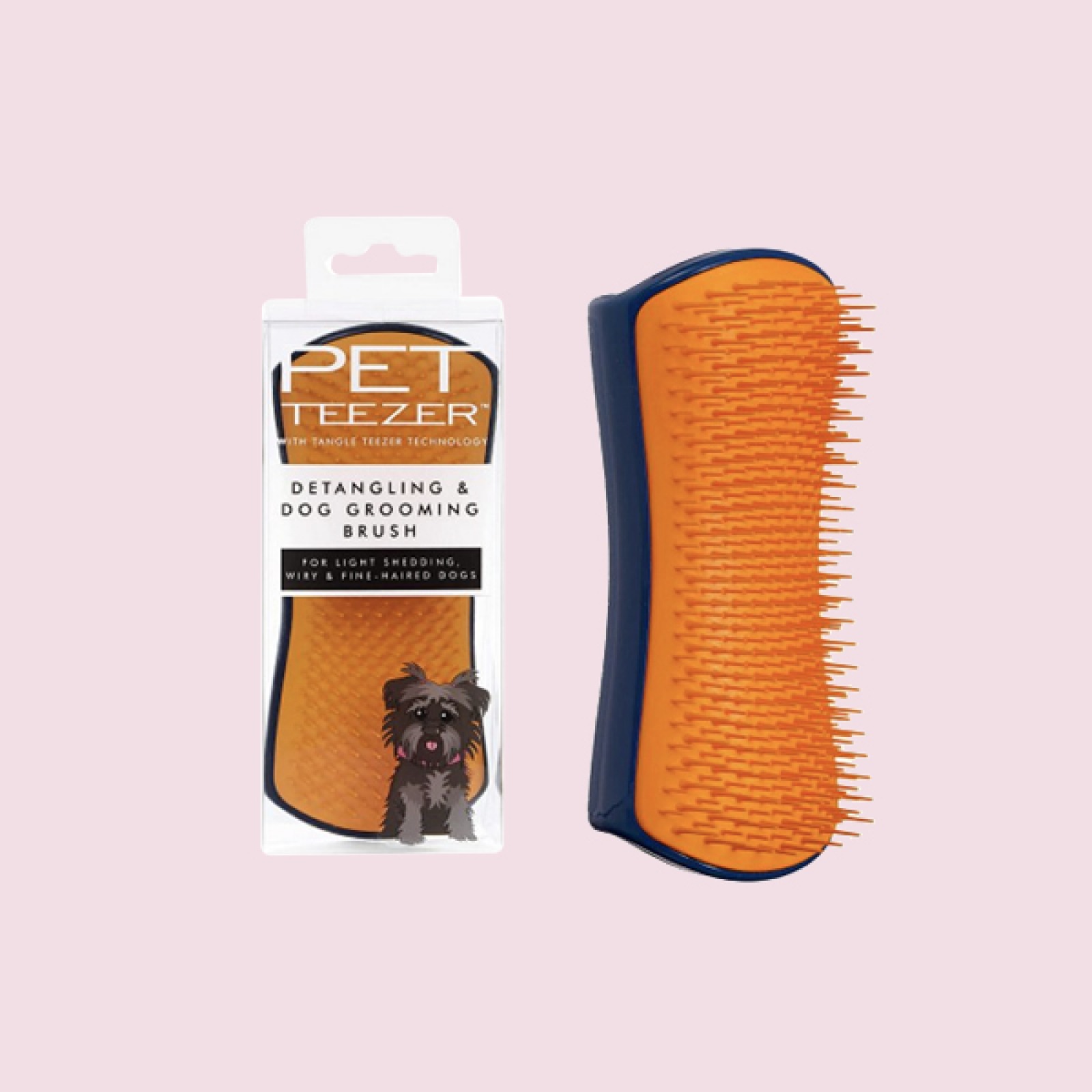 What to Pack for Your Dog for a DogFriendly Holiday Living North